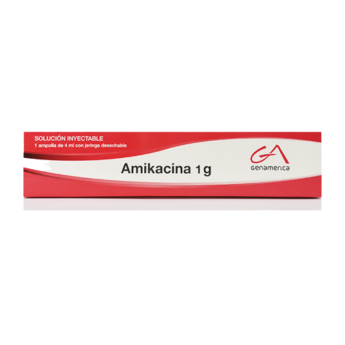 AMIKACINA 1G CAJA X1 AMP